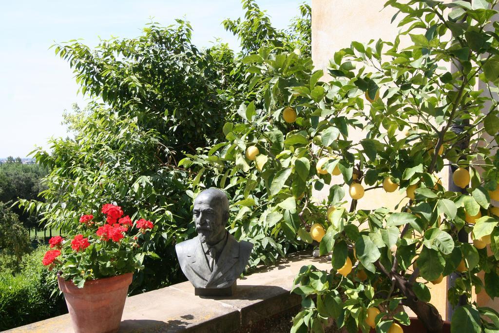 B&B Villa Sant'Anna Бергамо Екстериор снимка